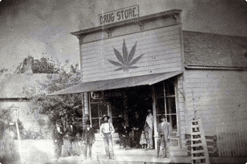 Minnesota cannabis history